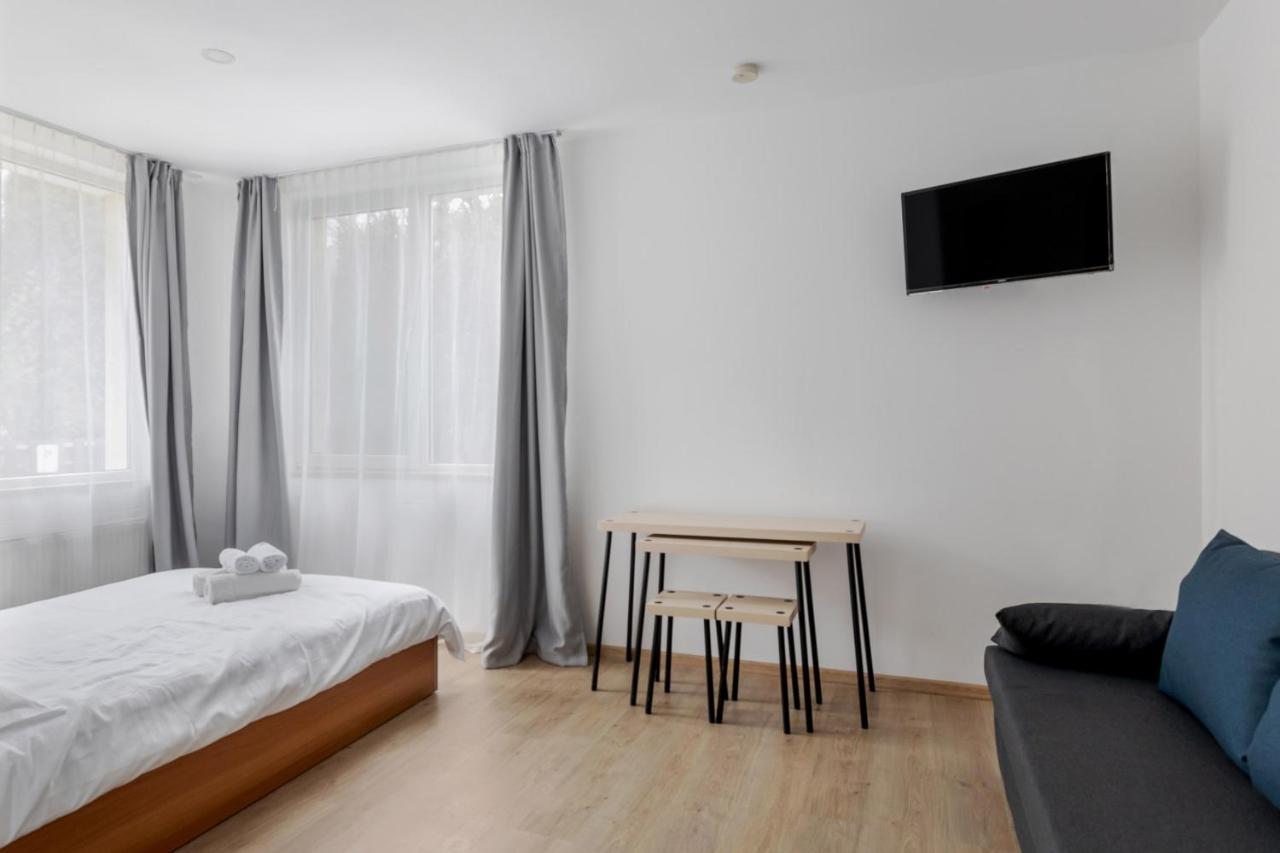Studio cu o canapea extensibilă