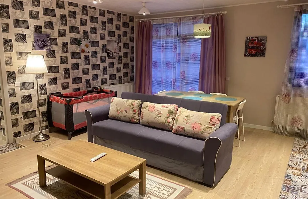 Igi Red Flat With Free Private Parking-1