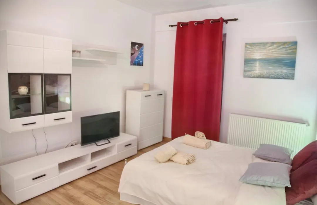 Luxury Downtown Apartment-1