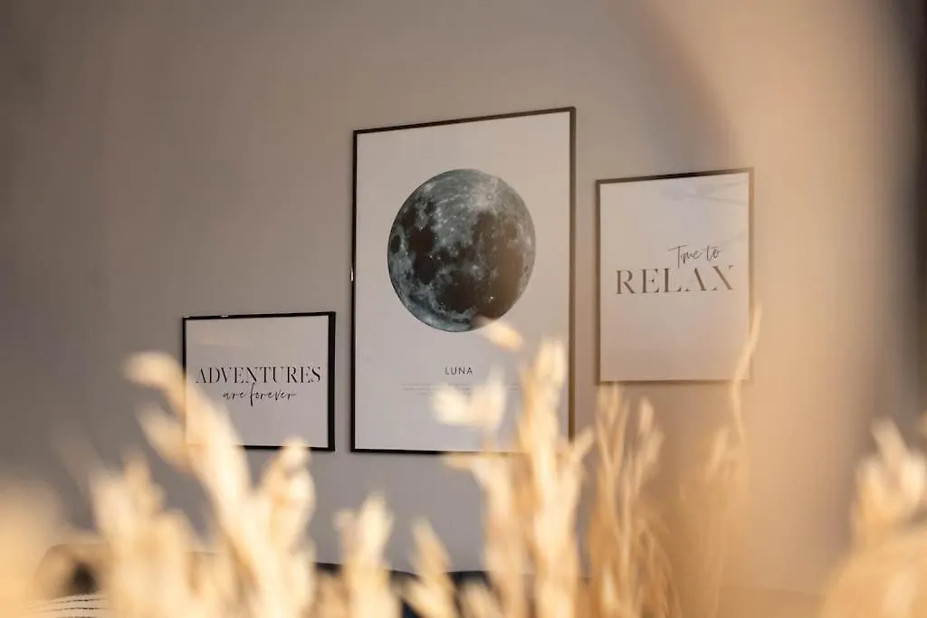 blue moon. cozy apartment near Iulius Mall-1
