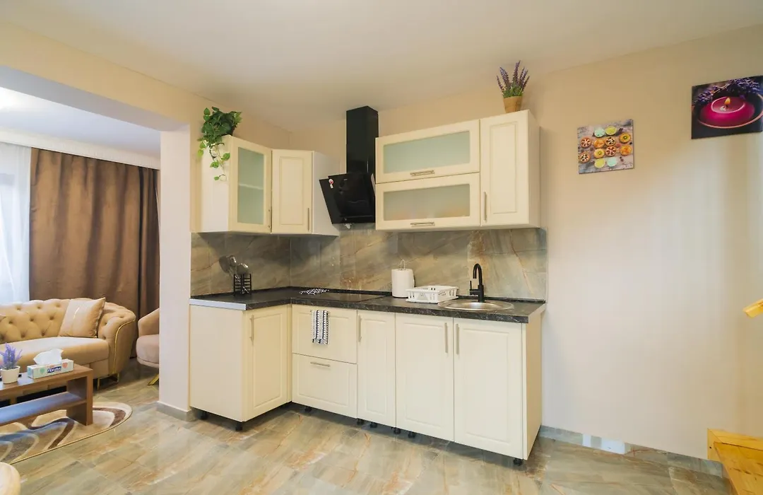 Bt Arena Apartments-1