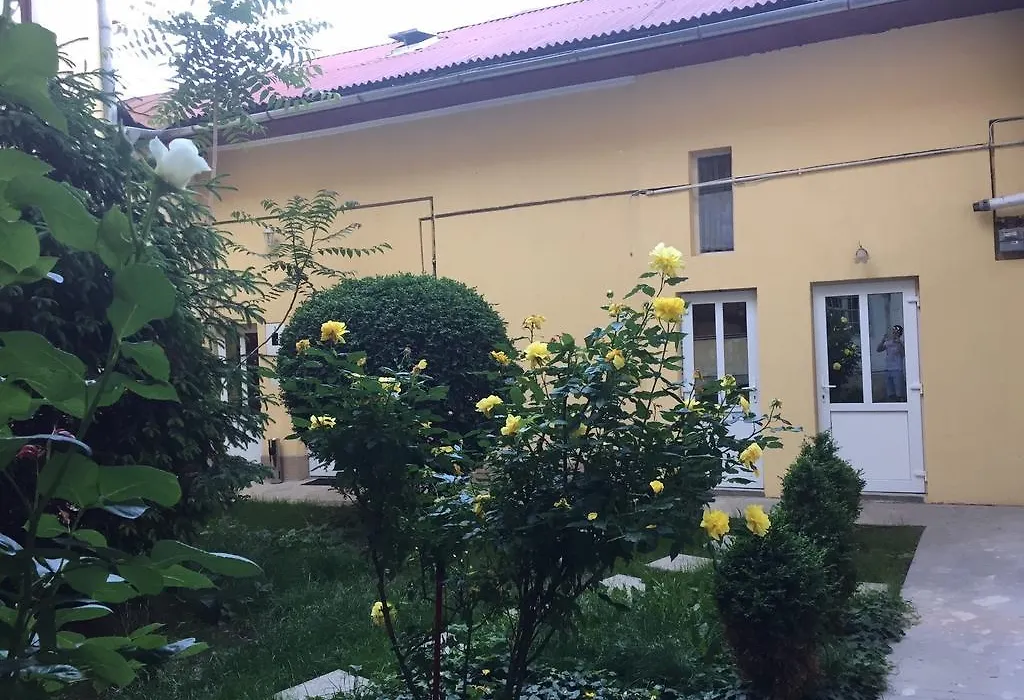 Vivaldi Studios-1