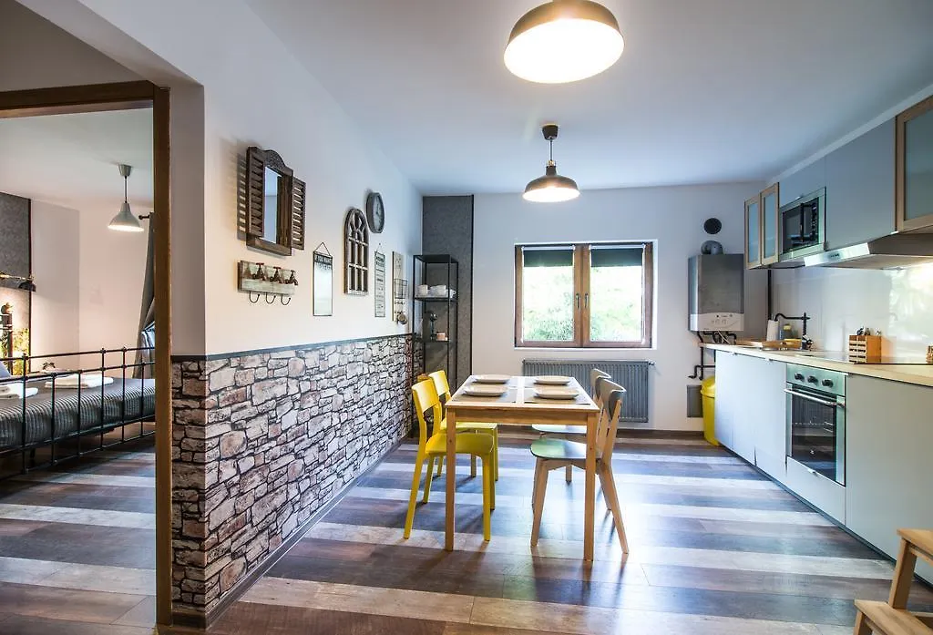 Rent in Cluj Apartments-1
