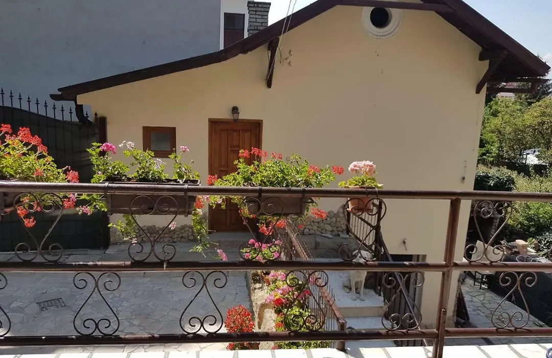 Cozy Home In The Heart Of Cluj-Napoca-1
