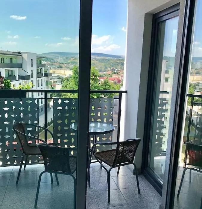 Beautiful Studio Near The Center Of Cluj-1