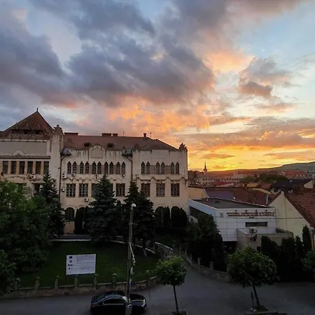 Traian Apartment - Cluj-2