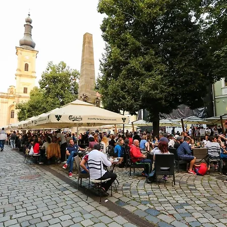 Piata Muzeului 1-2