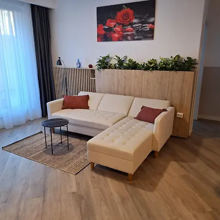 Apartament Septimiu Albini-2