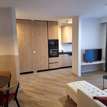 Apartament Septimiu Albini-3