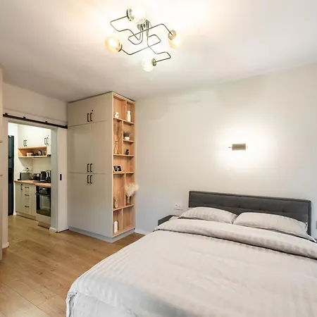CLUJSTAYS Urban Studios near Iulius Mall-2