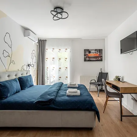 Beta Studio lângă Iulius Mall-2