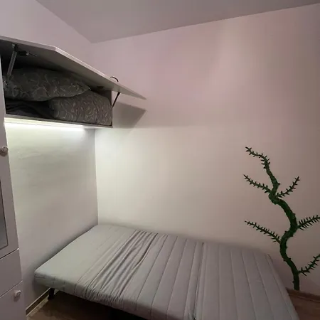 Mimosa Studio-3