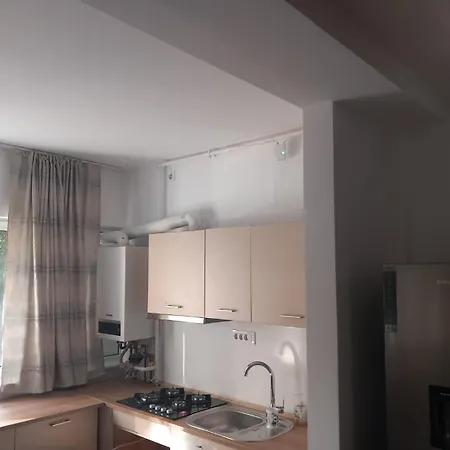 Casa din Parc-3