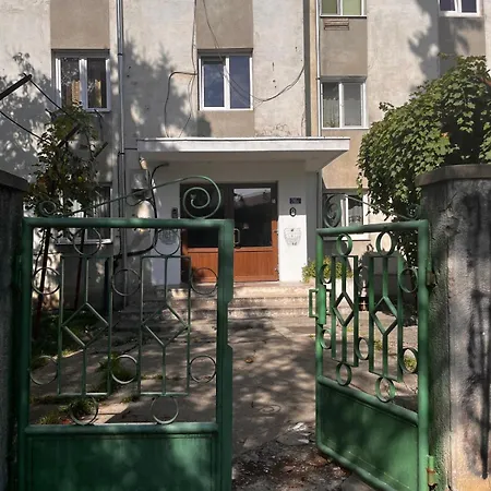 Mimosa Studio-2