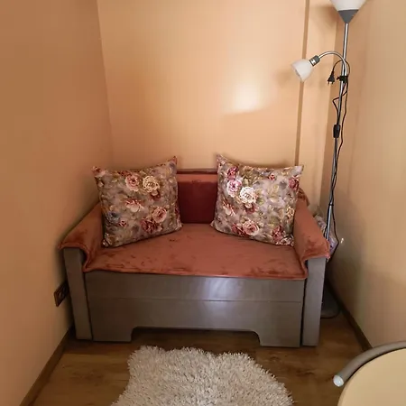 Apartament Central Adis-2