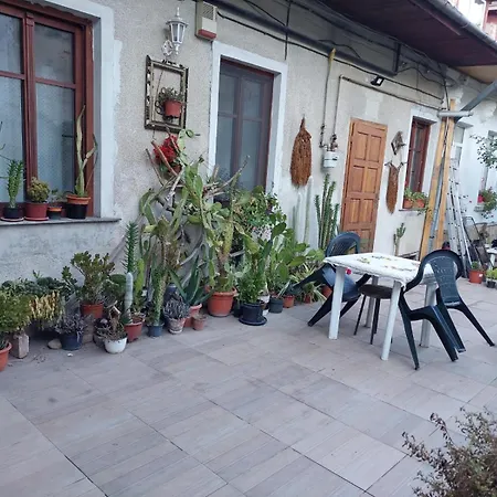 Central Spot Cluj-2