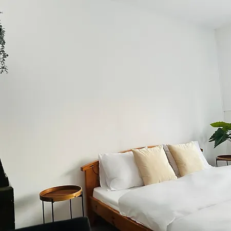 Wood & Moss Apartment - Central - Free Parking - Nice Garden-2