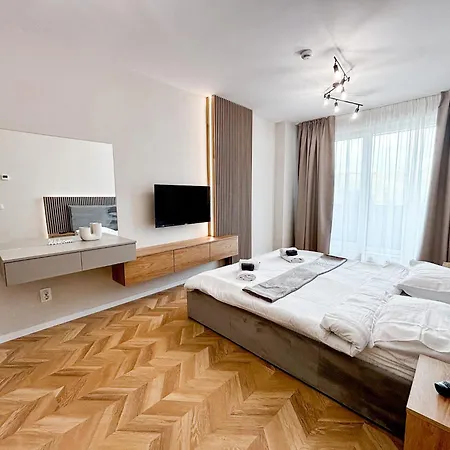 Airport Nest Private Parking, Ac And Smart Tv-3