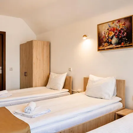 Casa Darius Cluj-2