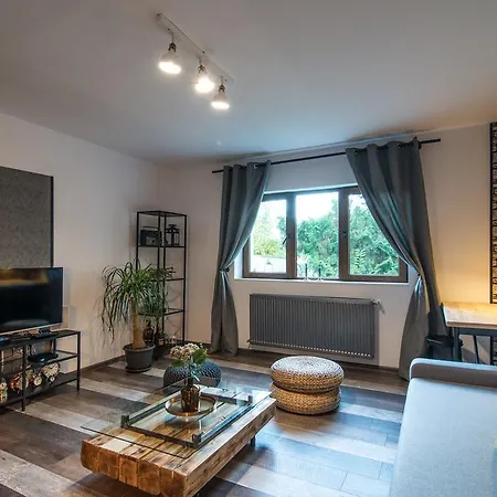 Rent in Cluj Apartments-3