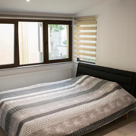 Central Apartment Shumi 69-2
