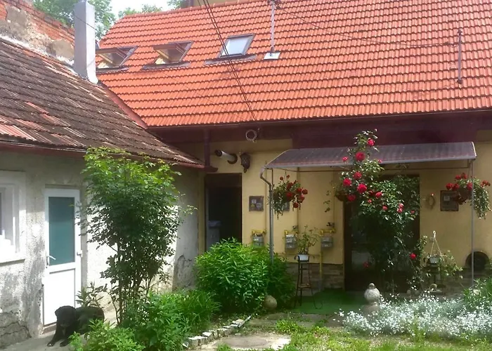 Central Apartment- Shumi'S Cluj-Napoca