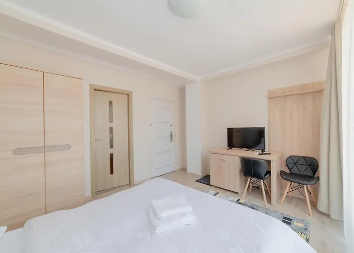 Casa Zorilor Cluj Apartment