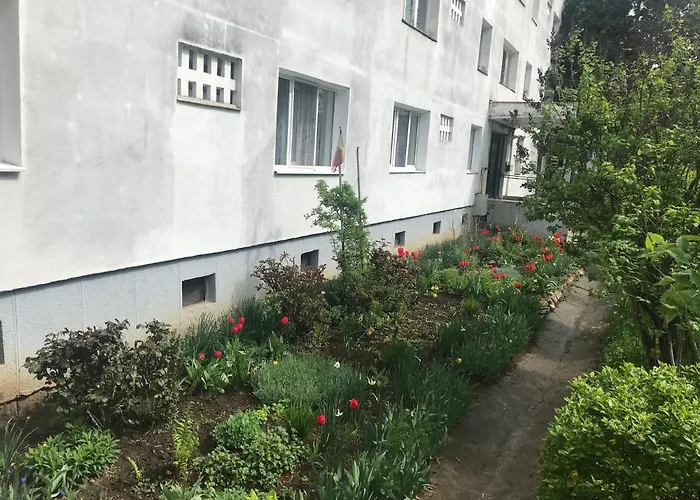 Apartament Colina Cluj-Napoca