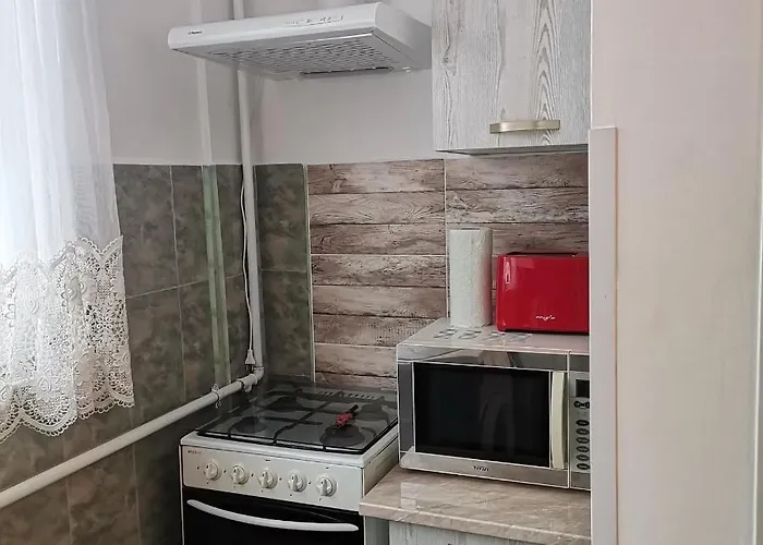 Garsoniera Braicu Apartment Cluj-Napoca