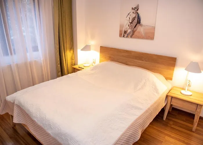 Classic Apartment Near The City Center Cluj-Napoca