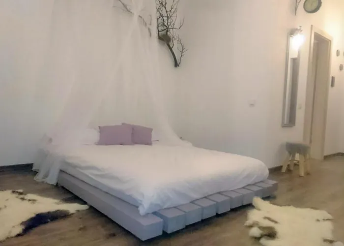 Cluj City Iris Appartment