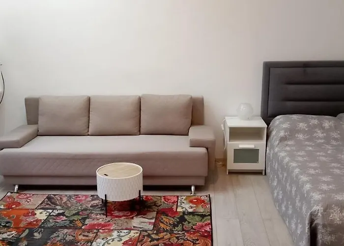 Piata Muzeului 1 Apartment Cluj-Napoca