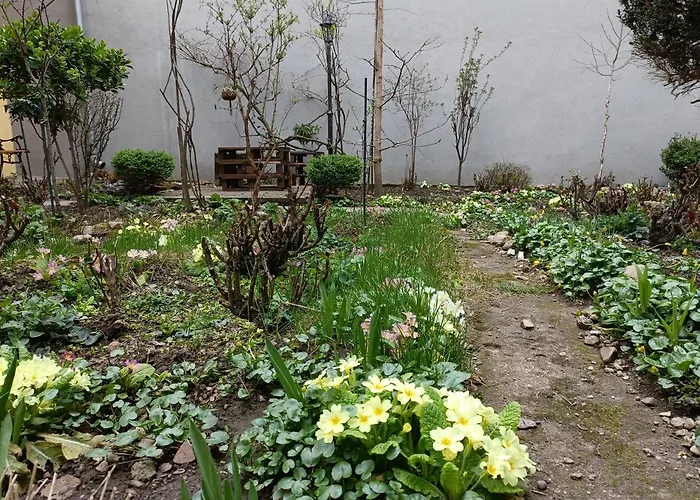 Piata Muzeului 1 Apartment Cluj-Napoca