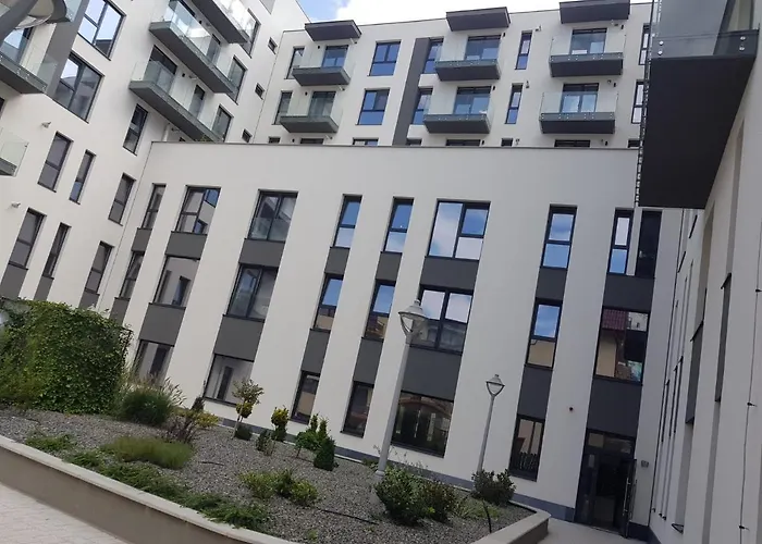 New Transilvania Cluj-Napoca