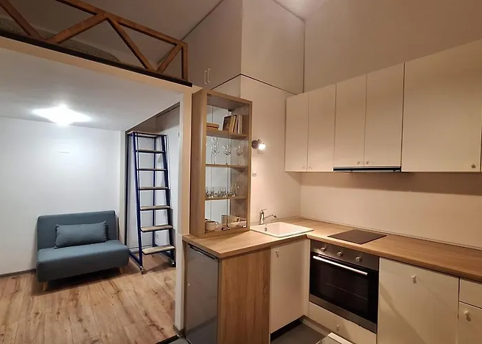 Swanhome - Central Apartment Cluj-Napoca