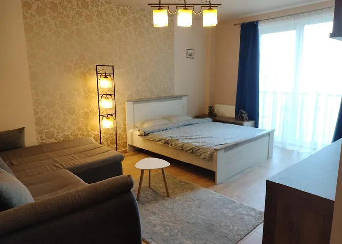 Central Apartment in Mihai Viteazu Square Cluj-Napoca