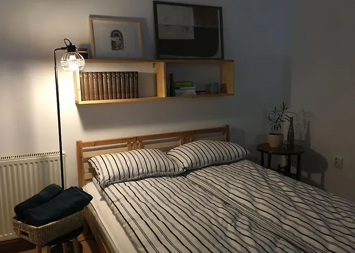 Olimpus central apartment Cluj-Napoca