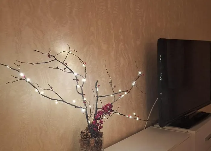 Willowhome - Central Apartment Cluj-Napoca