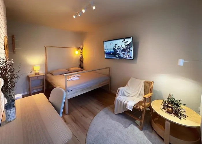 Transylvania Aparthotel - Free Parking Cluj-Napoca