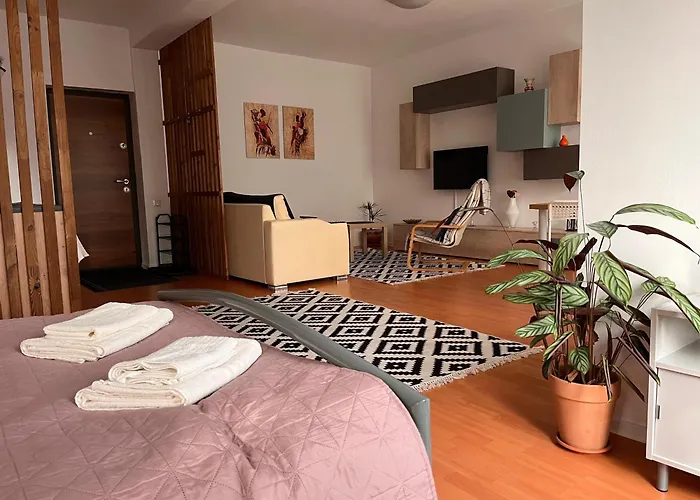 Flower Inn - Apartament 1 Cluj-Napoca