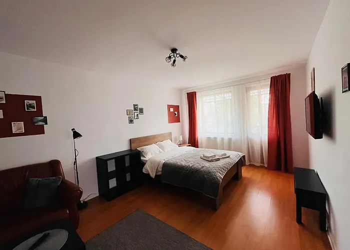 Flower Inn - Apartament 3 Cluj-Napoca