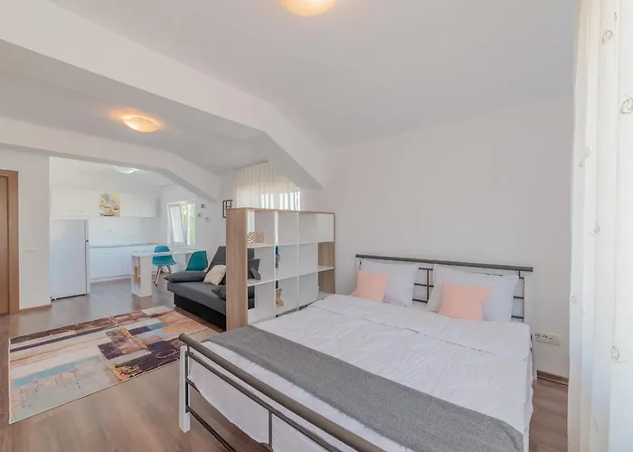 Casa Zorilor Cluj Apartment