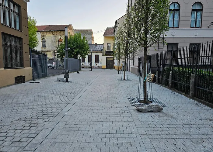 Muzeului Studio Cluj-Napoca