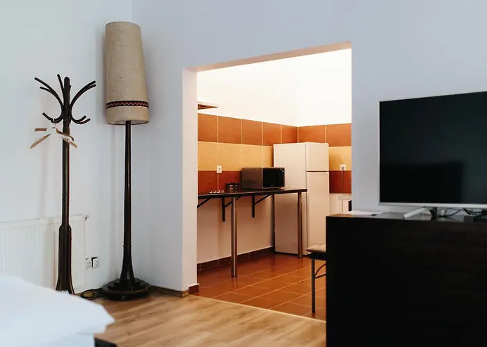 Contessa Central Studio II Cluj-Napoca