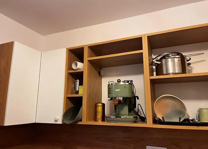 Mimosa Studio Cluj-Napoca
