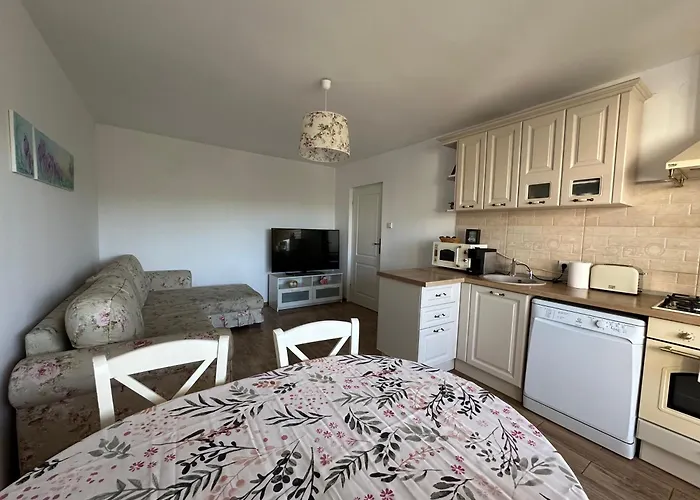 Rose Peony Apartment Cluj-Napoca