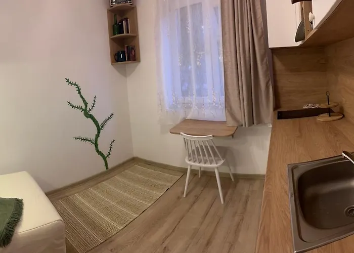 Mimosa Studio Cluj-Napoca