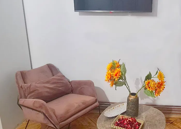 Cozy Studio In Noble House Main Square Cluj-Napoca