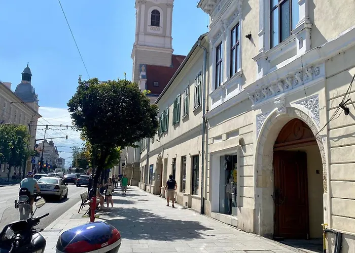 Frank'S Studio Apartment In The Old Cluj
