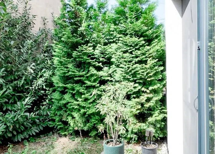 Terrace Nest - Relaxing Family Apart,Free Parking Cluj-Napoca